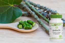 Guduchi (Tinospora cordifolia)